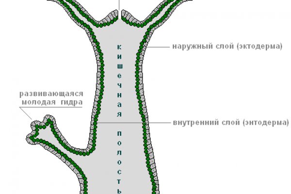 Как восстановить аккаунт в кракен