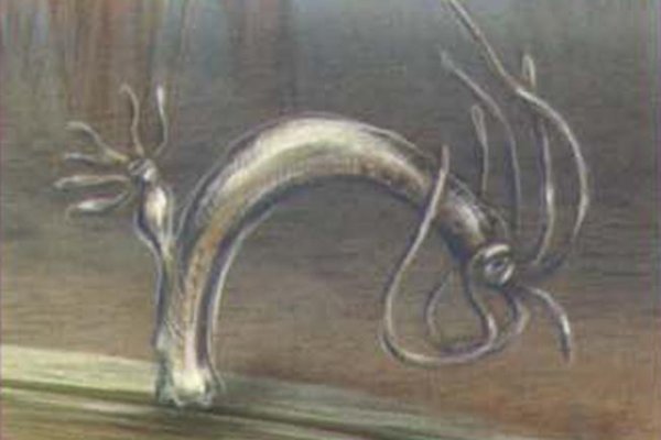 Kraken 4 ссылка